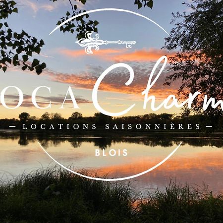 "Gite Les Futreaux" Vue Sur Loire & Linge Inclus Blois Bagian luar foto